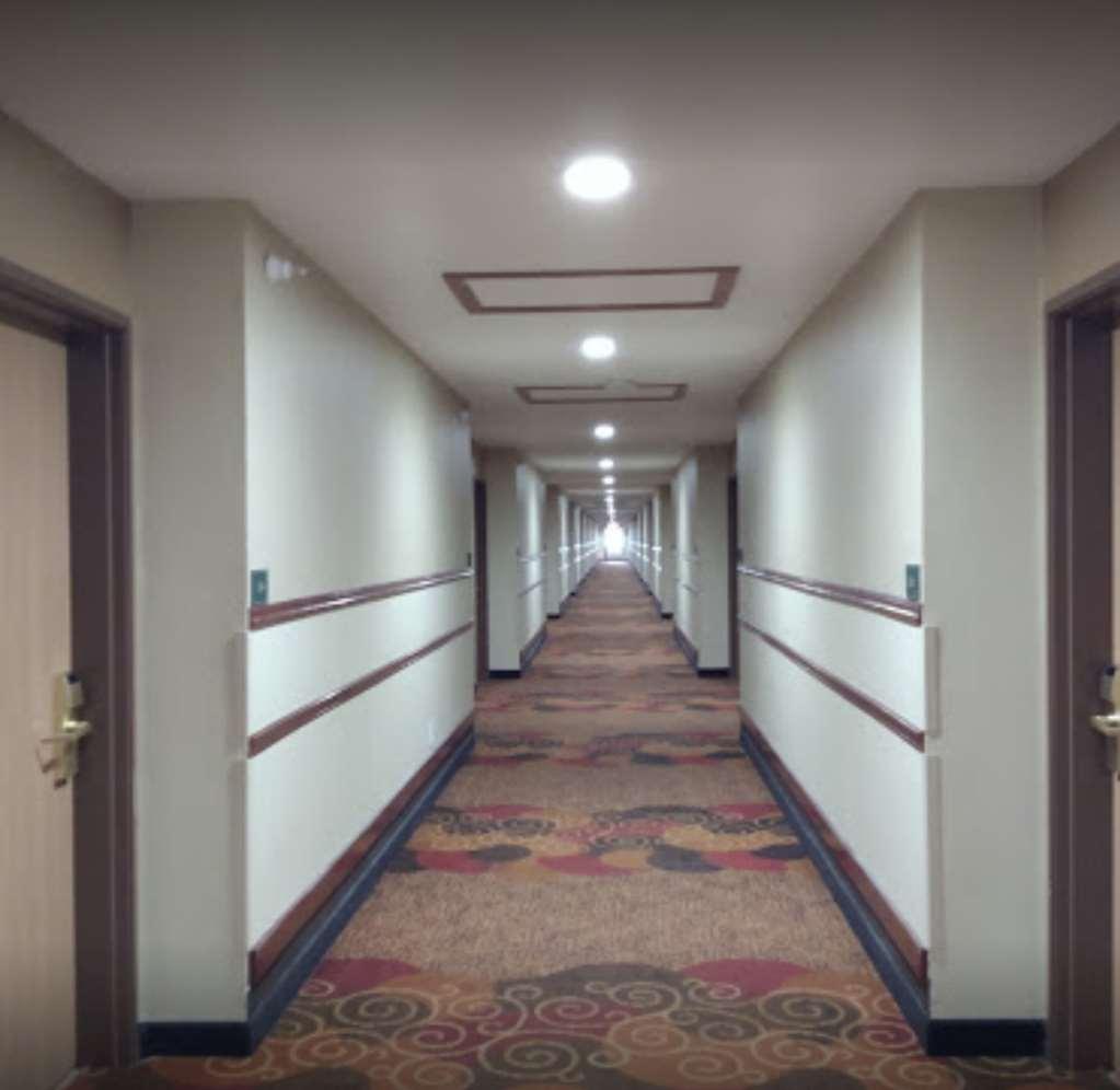 Comfort Inn & Suites At I-74 And 155 Morton Commodités photo